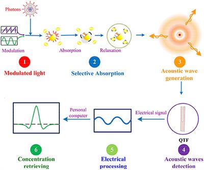 Recent Advances in QEPAS and QEPTS Based Trace Gas Sensing: A Review